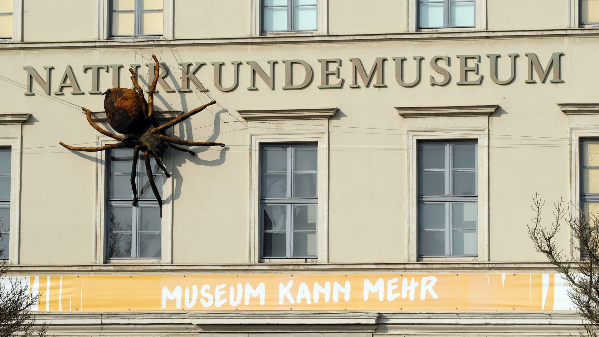 Naturkundemuseum Leipzig