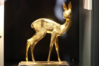 Bambi: Der Preis wird dieses Jahr am 7. November verliehen.