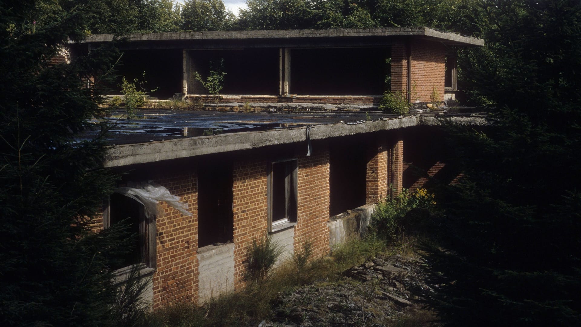 Die geplante Villa von Altkanzler Konrad Adenauer in der Eifel: Das geplante "Camp Konrad" im Kammerwald bei Duppach und Steffeln ist mittlerweile zur Ruine geworden.