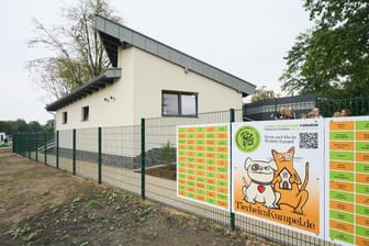 Die neue Hundekrankenstation des Alber-Schweitzer-Tierheims.