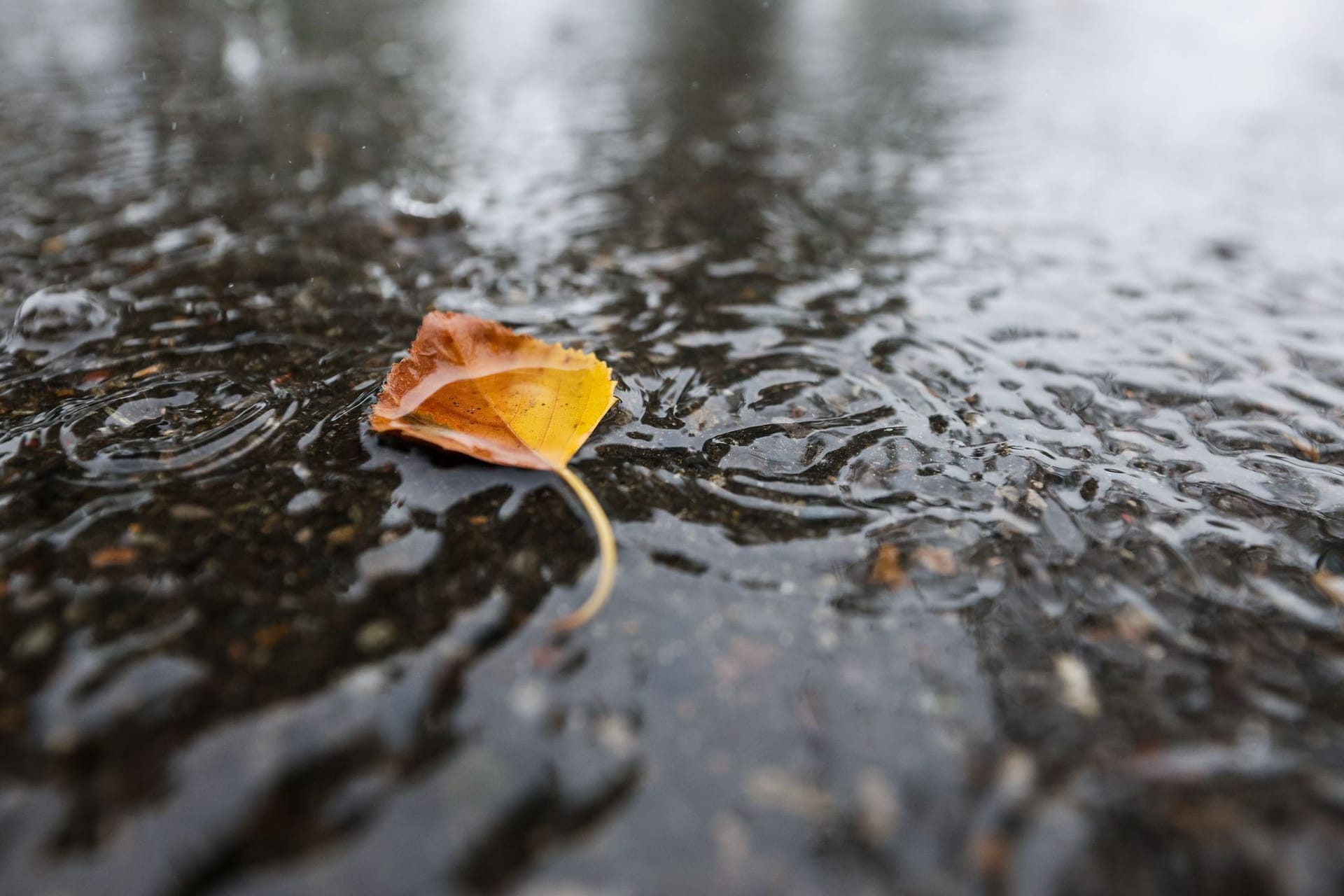 Wetter - Symbolbild