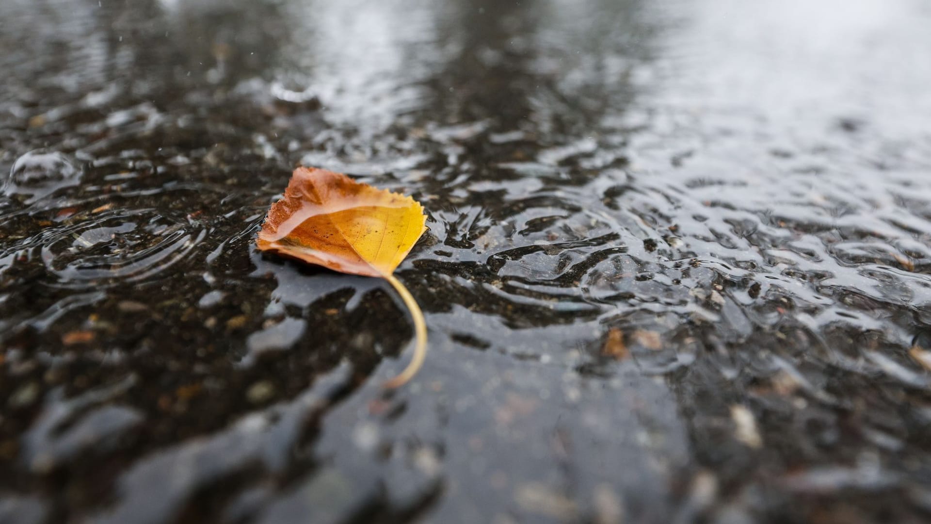 Wetter - Symbolbild