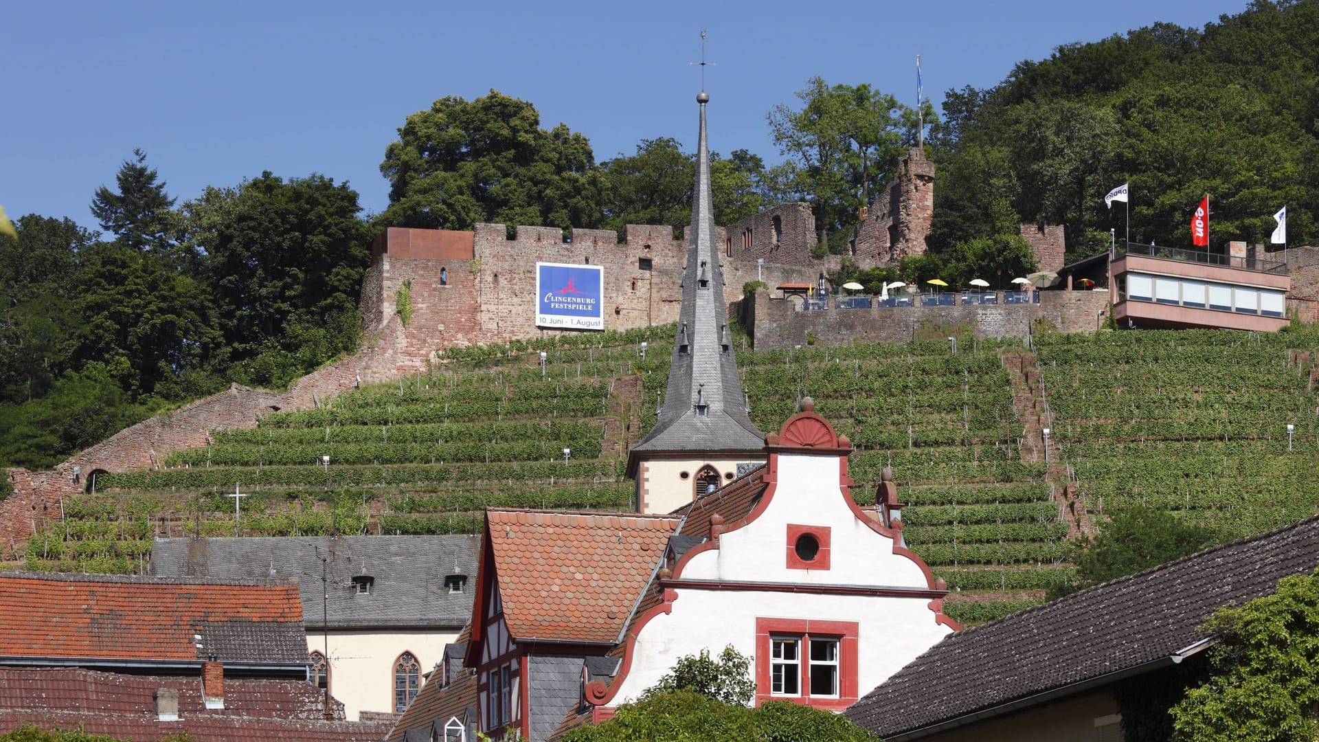 Burgruine Clingenburg bei Tag: Nutzen Sie sie als Startpunkt für eine Wanderung durch die Reben.