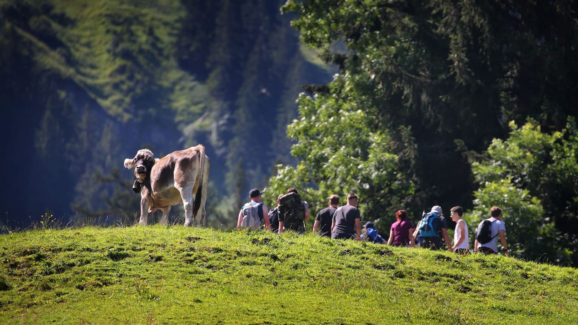 Sommerurlaub in Deutschland