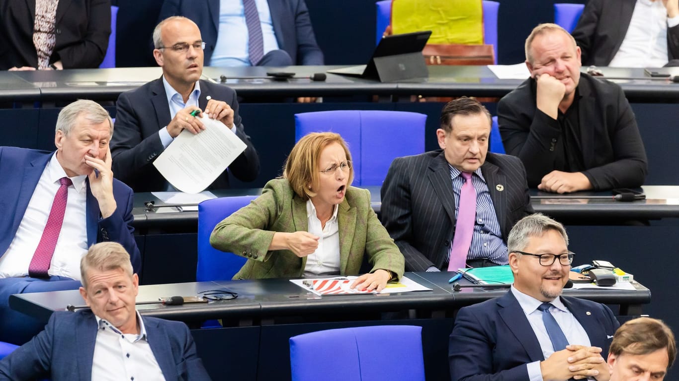 AfD im Bundestag