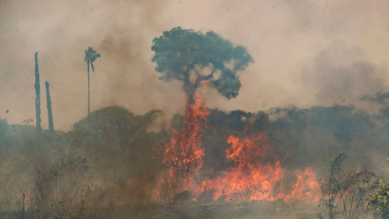 Waldbrände im Amazonasgebiet