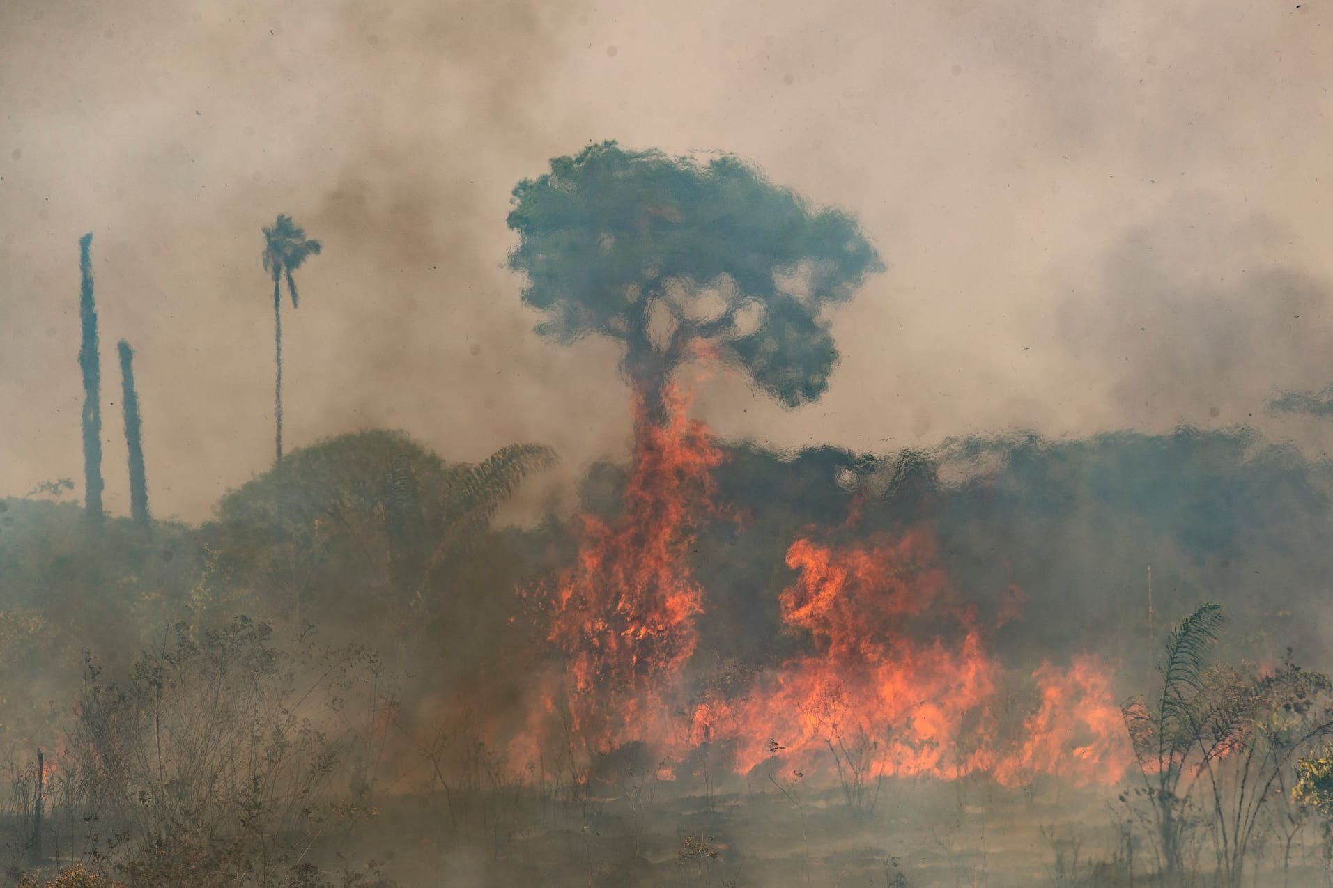 Waldbrände im Amazonasgebiet