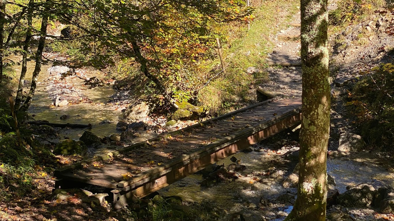 Wer weiter in Richtung Schildenstein wandert, passiert diese malerische Brücke samt Herbstlaub.