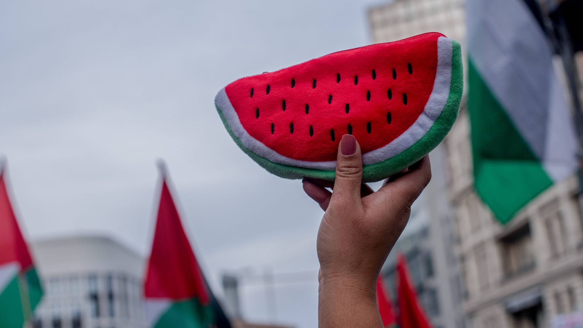 Ein Demonstrant hält eine Stoffmelone hoch: Weil die Frucht die gleichen Farben wie die palästinensische Flagge hat, ist sie zu einem Symbol der Bewegung geworden.