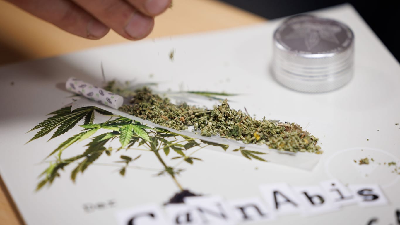 Erste Cannabis-Anbauvereinigung in NRW genehmigt