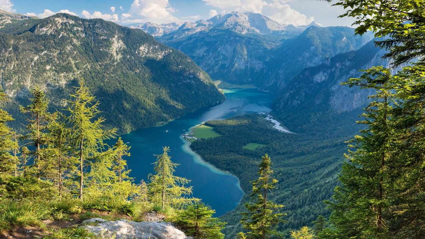 Blick auf den bayerischen Königssee: Das Gewässer im Nationalpark Berchtesgarden erfreut sich großer Beliebtheit.