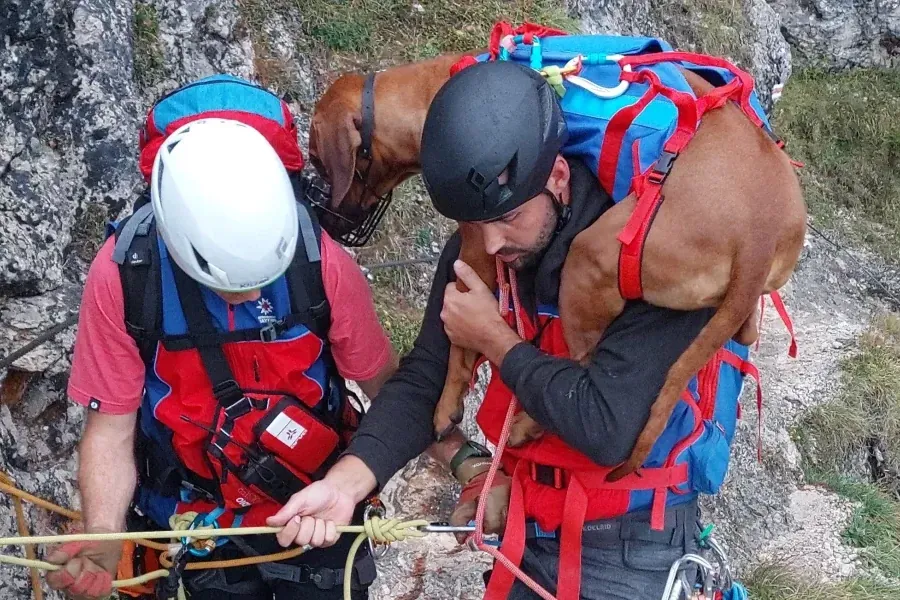 Rettungsaktion am Tegelberg: Hündin Nala wollte sich plötzlich nicht mehr bewegen.