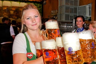 Wiesn-Kellnerin mit mehreren Maß (Symbolfoto): Eine nicht näher bekannte Kellnerin soll im Bräurosl Schnaps verkauft haben.