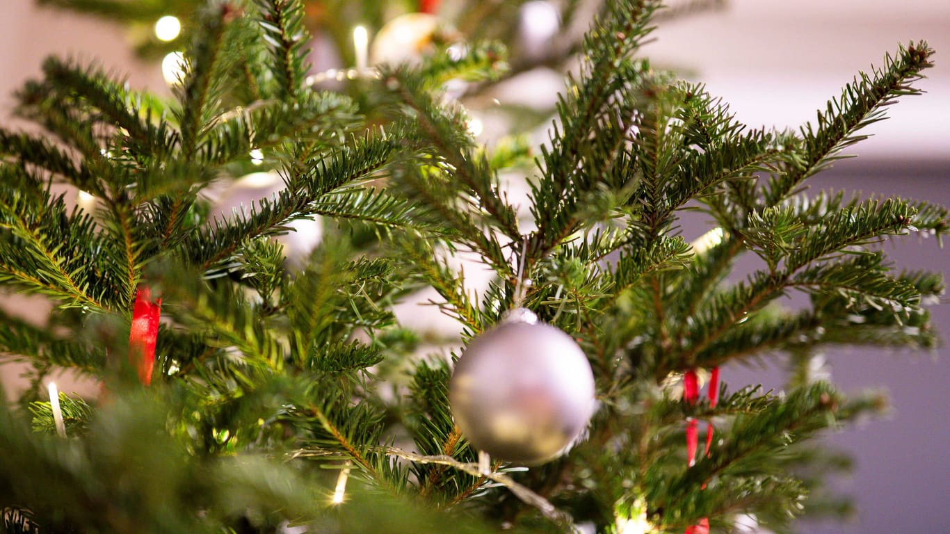 Feature Weihnachten: Ein geschmückter Weihnachtsbaum in einem Wohnzimmer an Heiligabend.