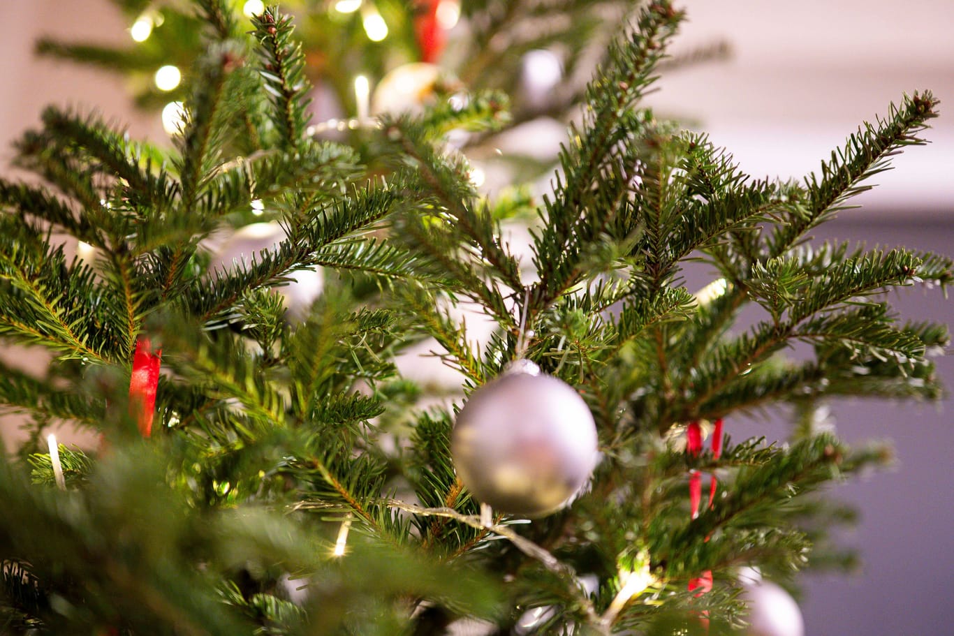 Feature Weihnachten: Ein geschmückter Weihnachtsbaum in einem Wohnzimmer an Heiligabend.