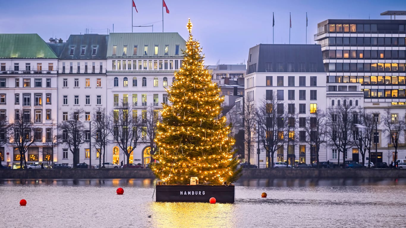 Die Alstertanne leuchtet in Hamburg (Archivbild): Weihnachtsbäume ohne Makel kosten 2024 mehr Geld.