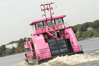 Eine Hadag-Fähre fährt auf der Elbe (Symbolbild): Die historische Linie zwischen Blankenese und Cranz wird nicht mehr bedient.