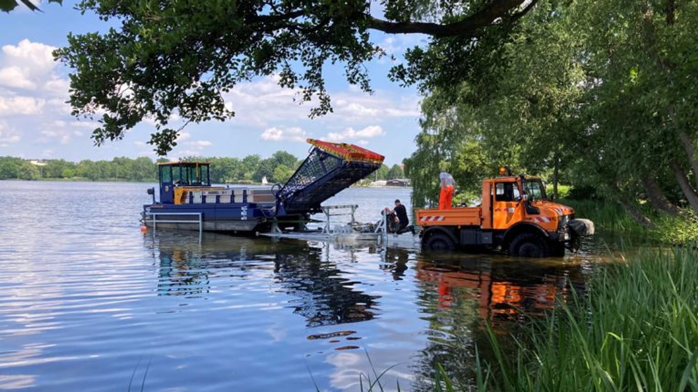 Das Mähsammelboot "Hummel" am Großen Dutzendteich: Es soll dort die Wasserqualität verbessern.