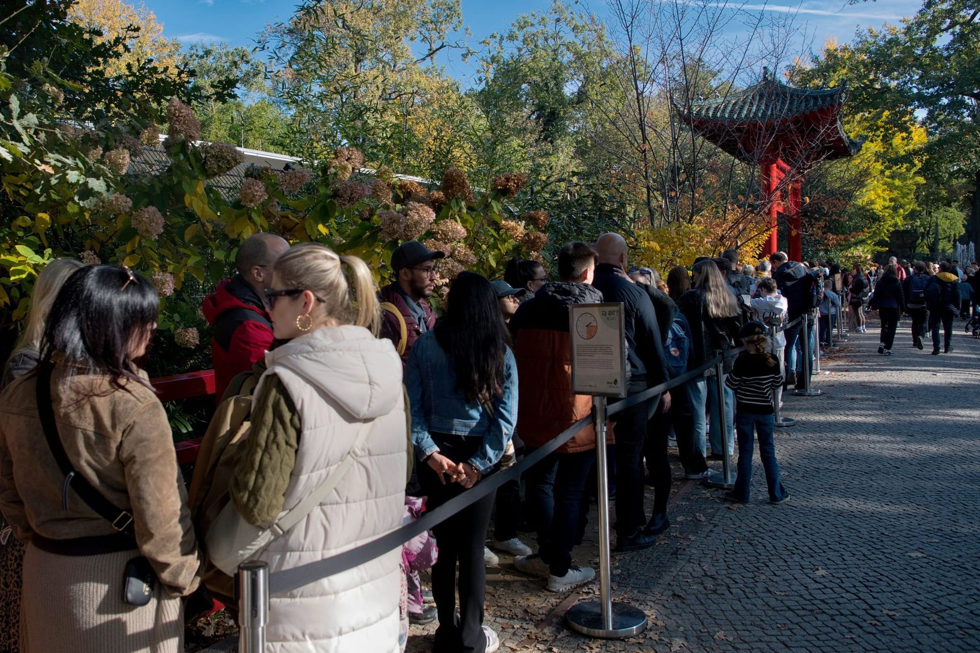 Anstehen für den Panda-Nachwuchs im Berliner Zoo