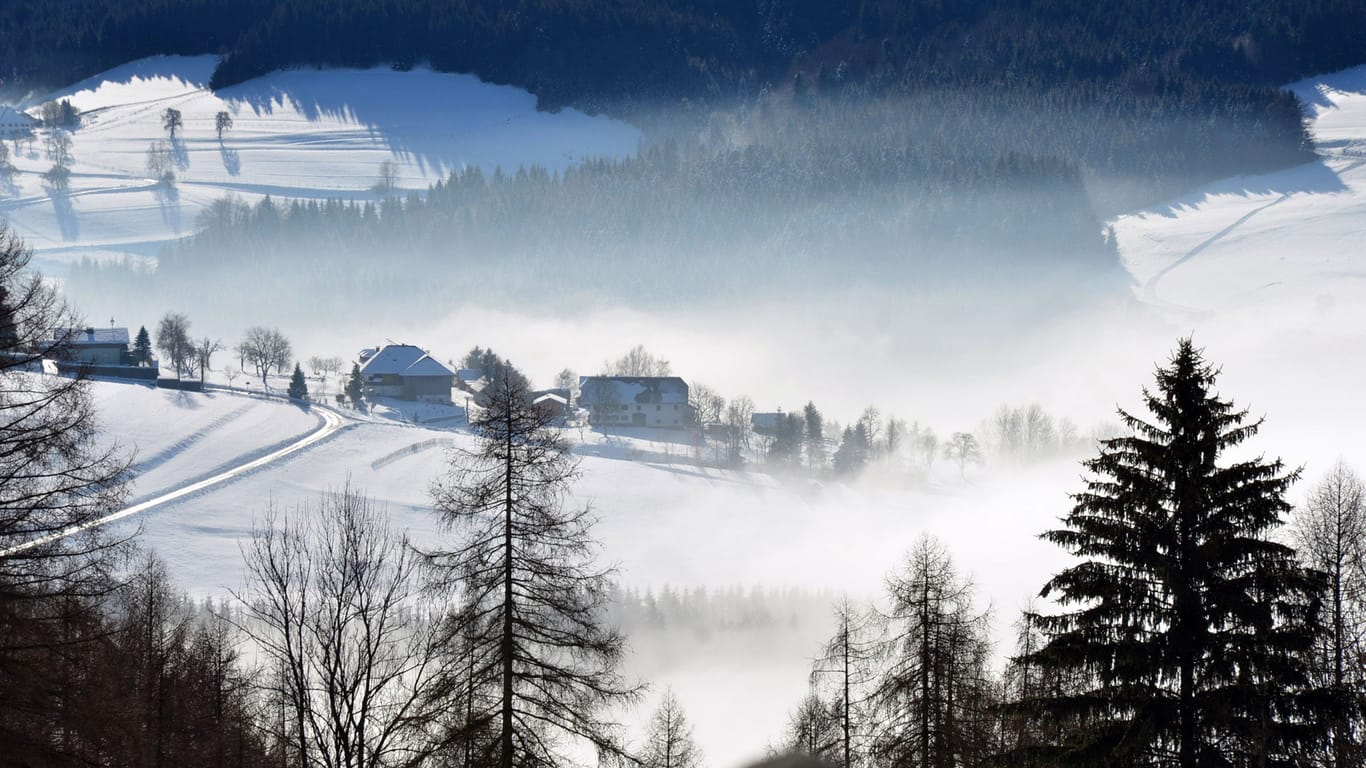 Verschneite Winterlandschaft mit Bauernhäusern am Attersee, Österreich, Europa - Snowy winter landscape with farmhouses at Attersee, Austria, Europe