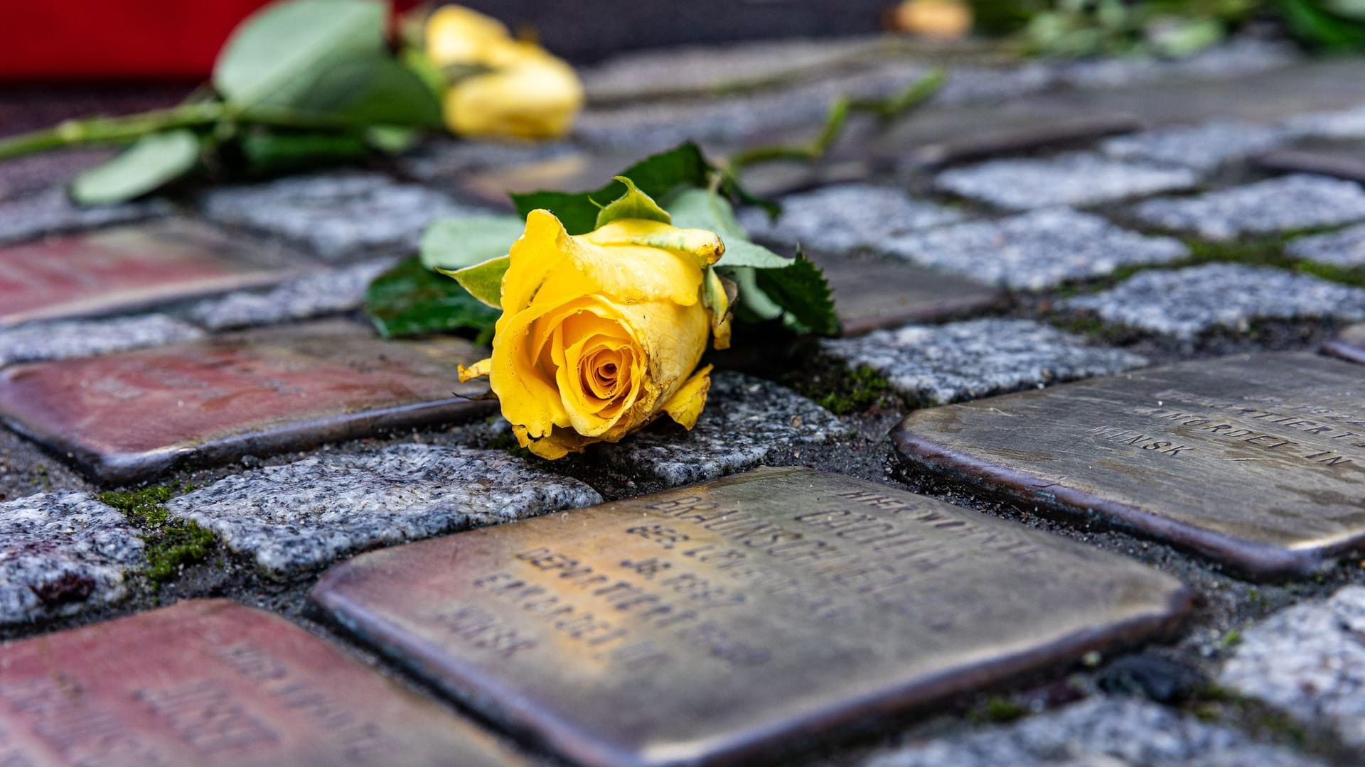 Stolpersteine