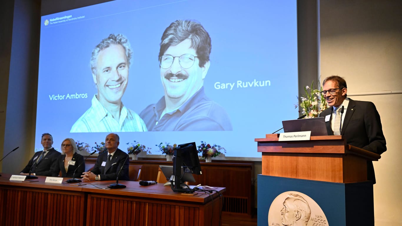 Die Verkündung der Nobelpreisträger am Karolinska Institute in Stockholm: Die Sieger in diesem Jahr sind Victor Ambros und Gary Ruvkun.