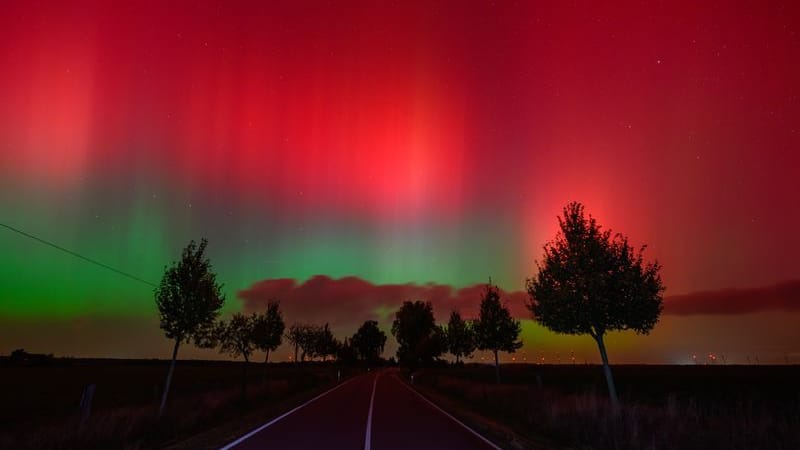 Polarlichter leuchten am Nachthimmel über einer Straße im östlichen Brandenburg.