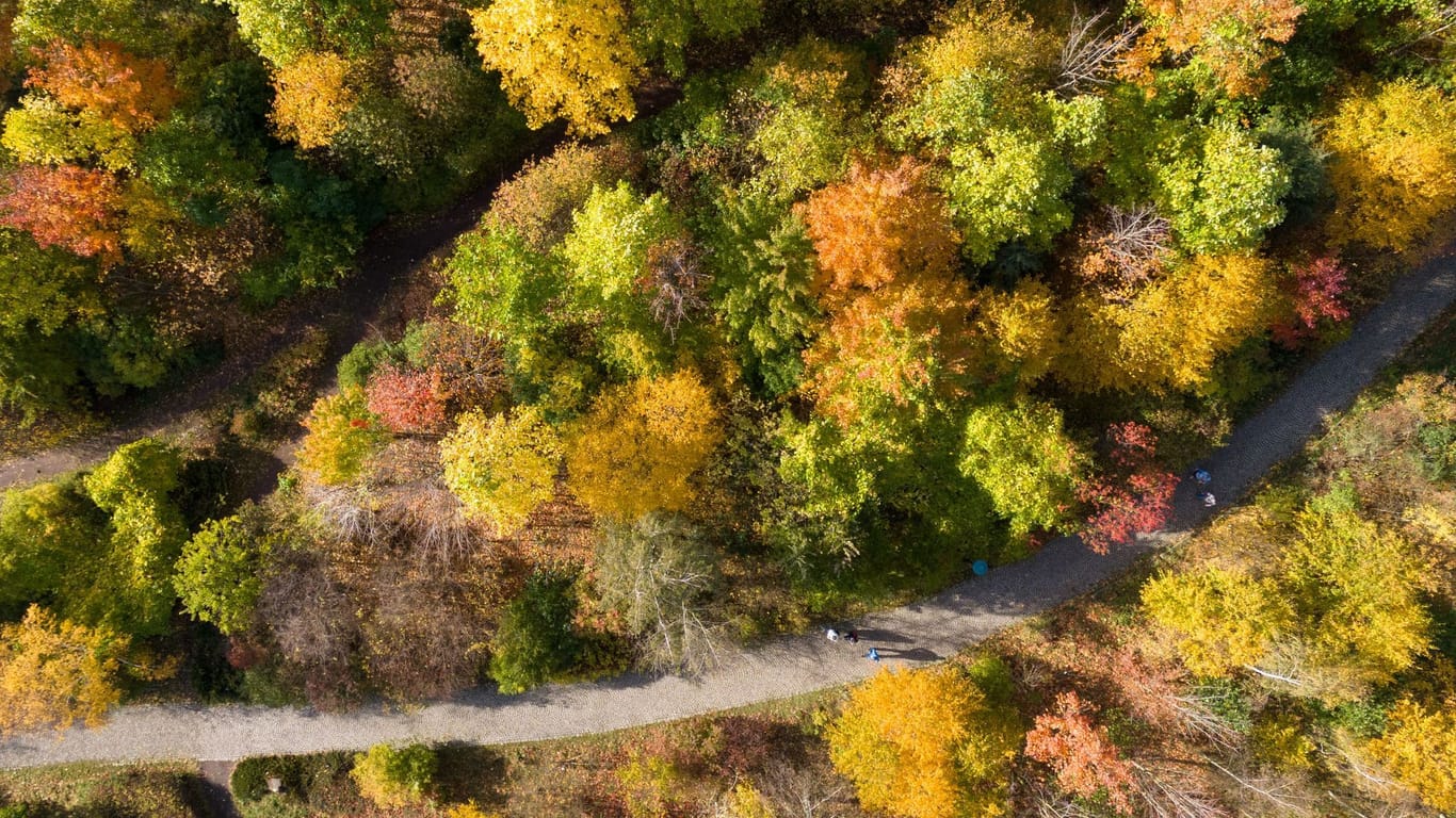 Herbst in Sachsen