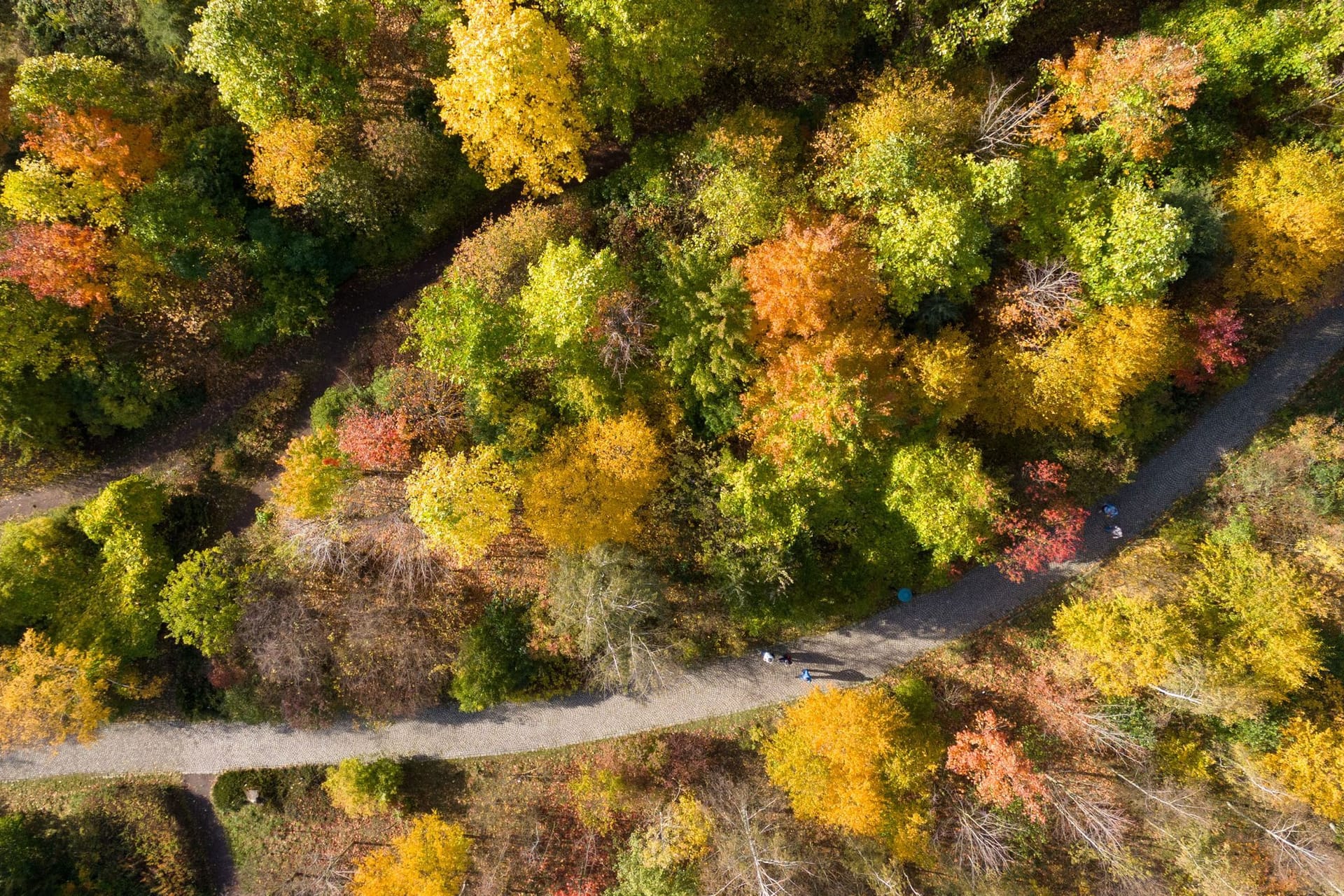 Herbst in Sachsen