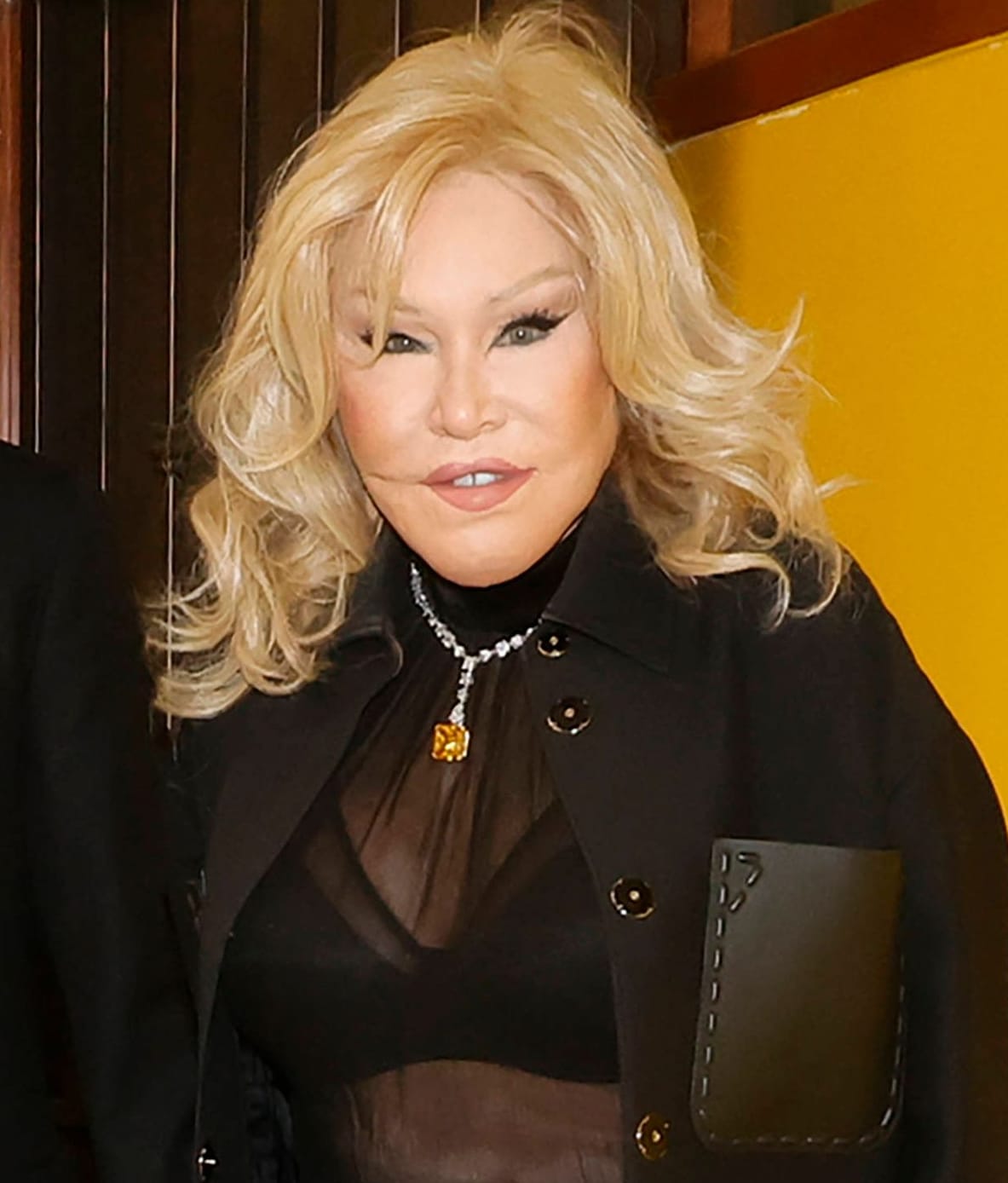 Jocelyn Wildenstein: Die Kunsthändlerin ist 84 Jahre alt.