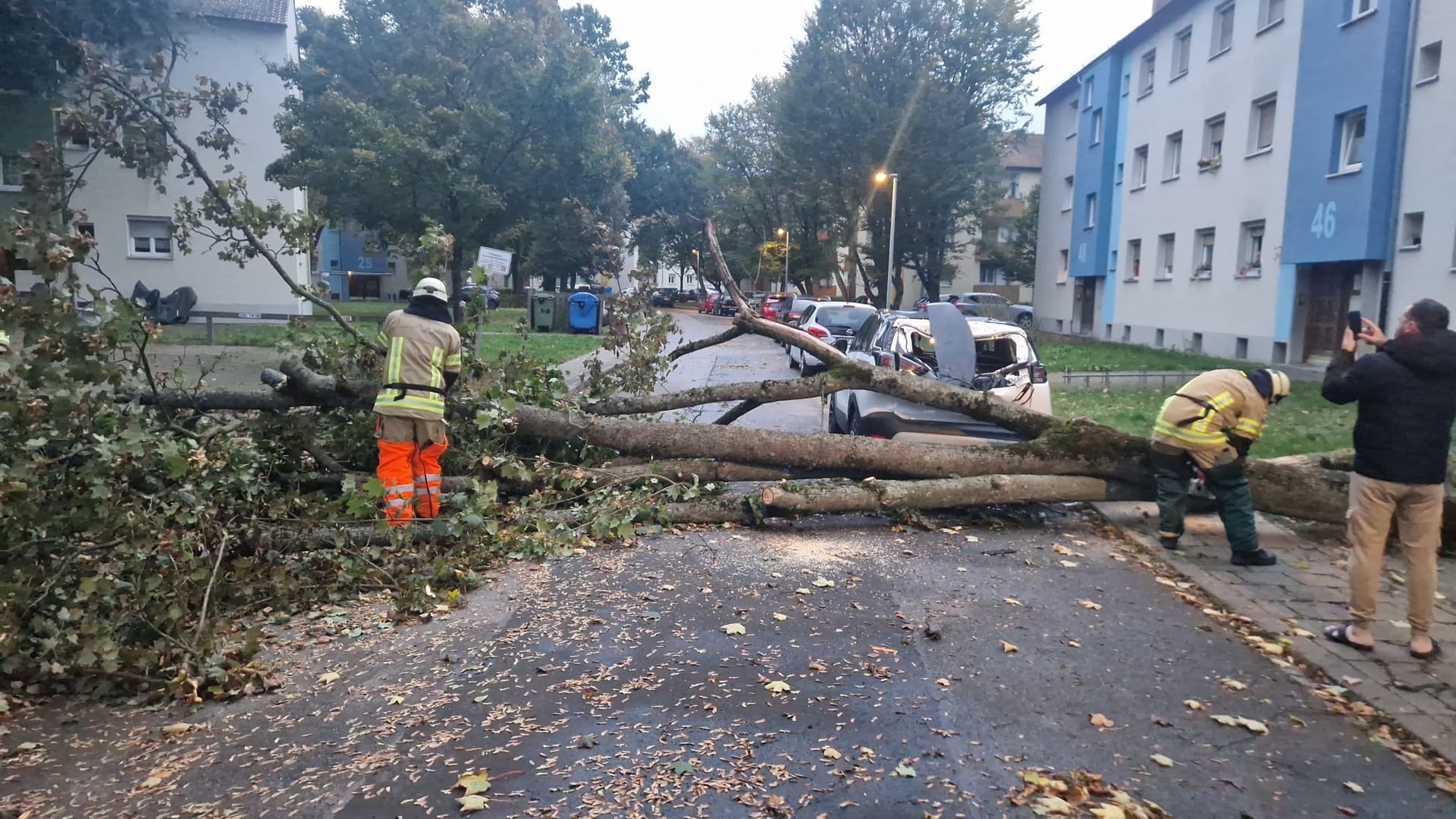 Ein umgestürzter Baum in Bamberg: Ex-Hurrikan "Kirk" stürmt seit dem frühen Morgen in Süddeutschland.