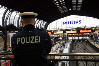 Bundespolizist patroulliert am Hamburg Hauptbahnhof (Symbolbild): Passanten und ein Zugführer verhinderten knapp ein Unglück.