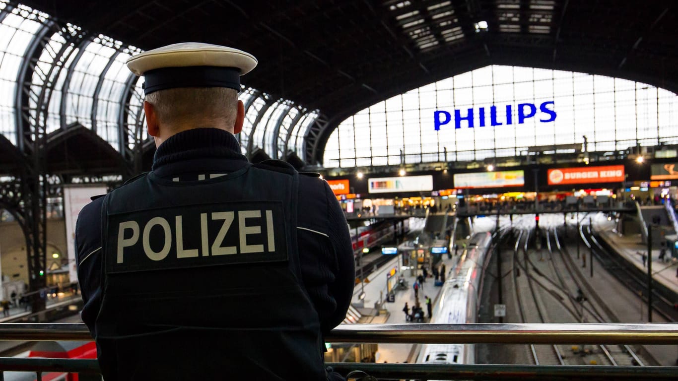 Bundespolizist patroulliert am Hamburg Hauptbahnhof (Symbolbild): Passanten und ein Zugführer verhinderten knapp ein Unglück.