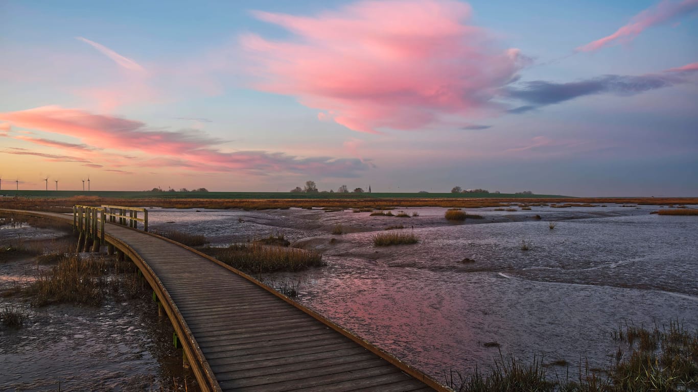 Malerisch: Sonnenaufgang im Naturschutzgebiet Langwarder Groden auf der Halbinsel Butjadingen.