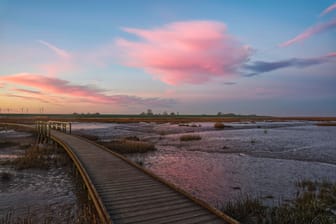 Malerisch: Sonnenaufgang im Naturschutzgebiet Langwarder Groden auf der Halbinsel Butjadingen.