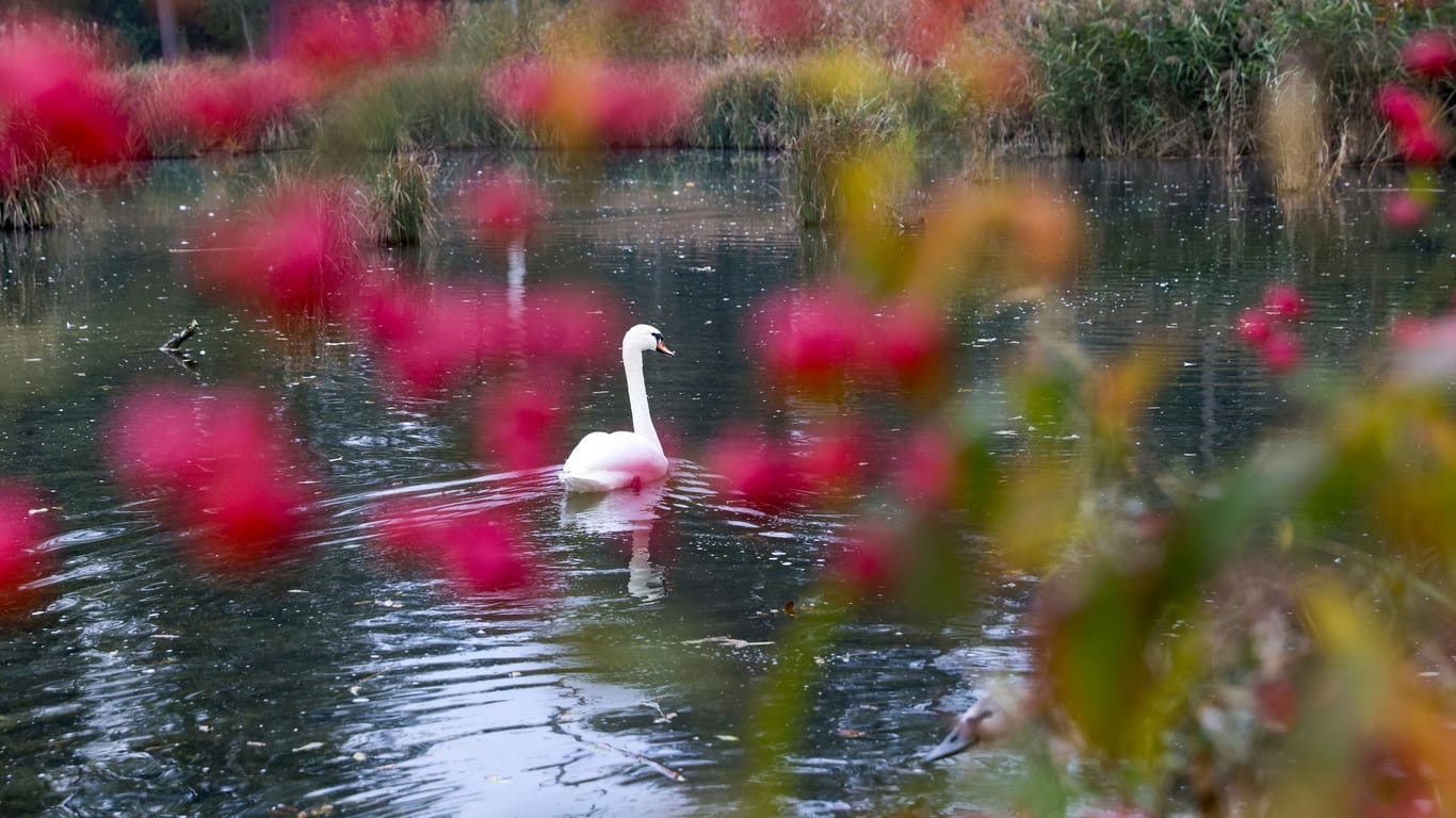 Herbst - Wetter im Südwesten