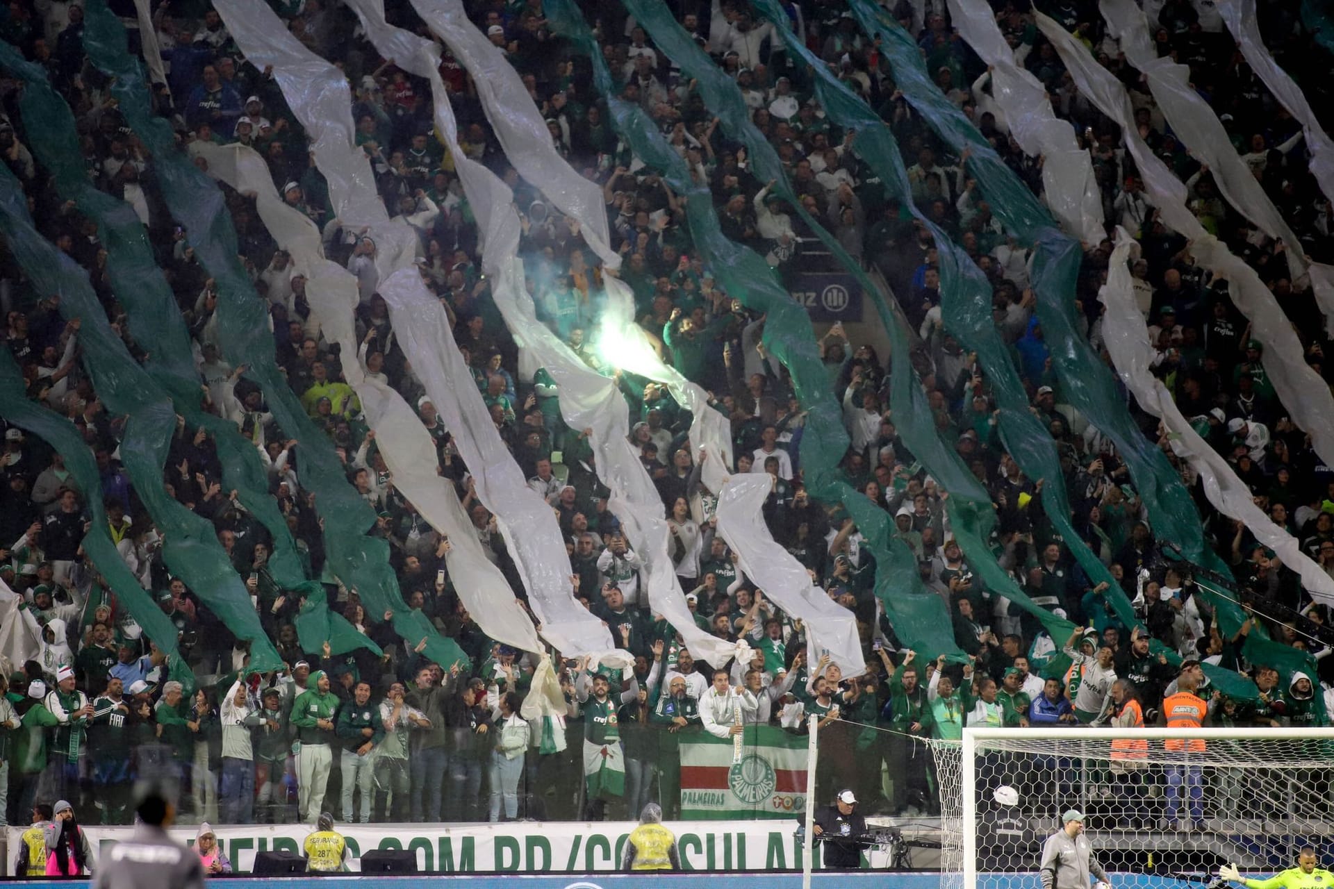 Fans von Palmeiras in Brasilien