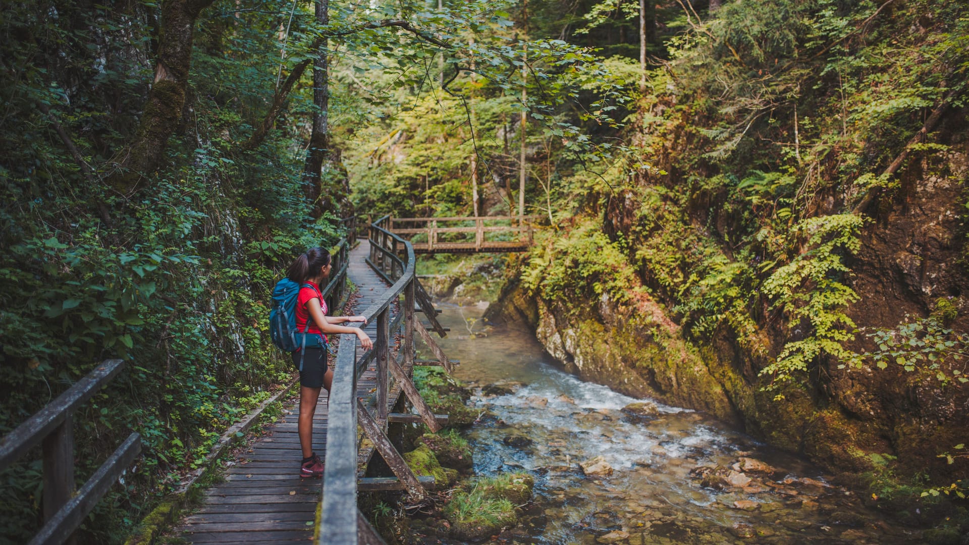 Wunderschöne Wanderwege lassen Sie durchatmen und die Natur genießen.