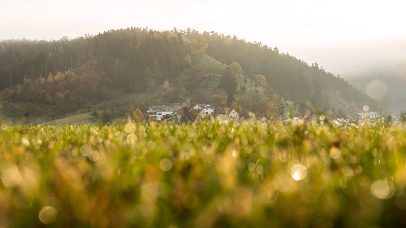 Herbst in Baden-Württemberg