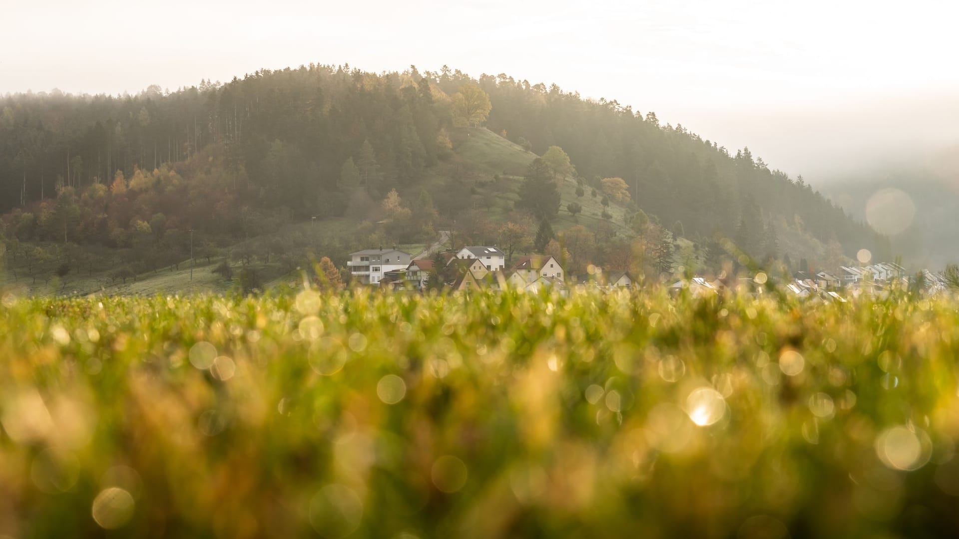 Herbst in Baden-Württemberg