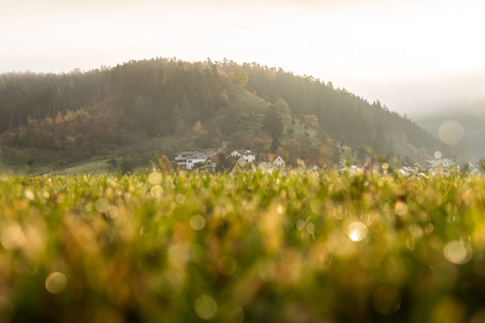 Herbst in Baden-Württemberg