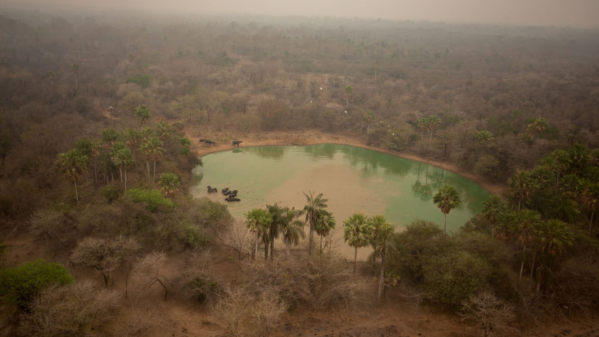 Indigene Feuerwehrleute kämpfen in Brasilien um ihr Territorium