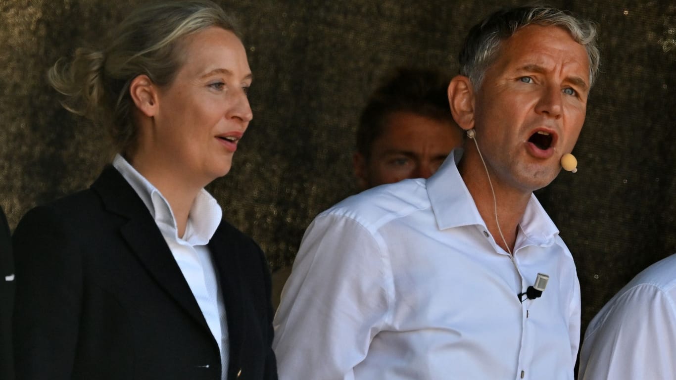 Alice Weidel und Björn Höcke