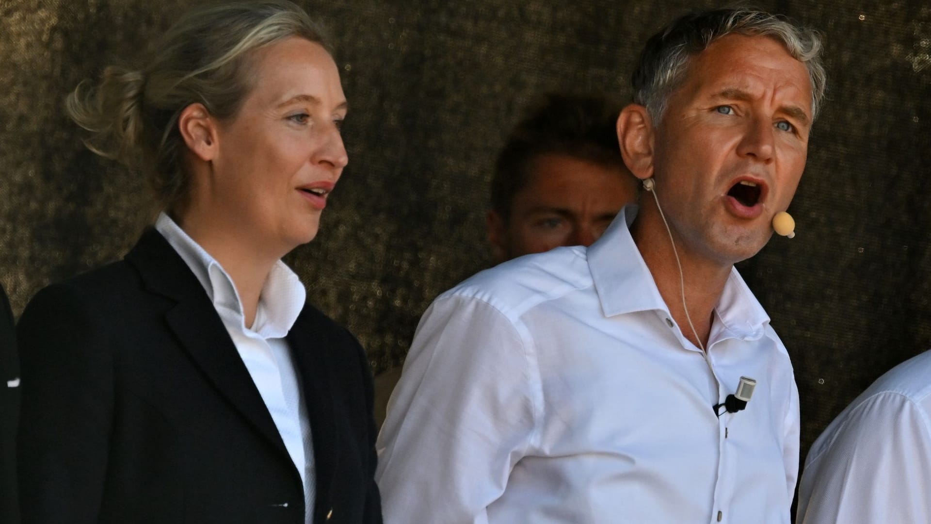 Alice Weidel und Björn Höcke