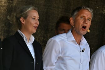 Alice Weidel und Björn Höcke