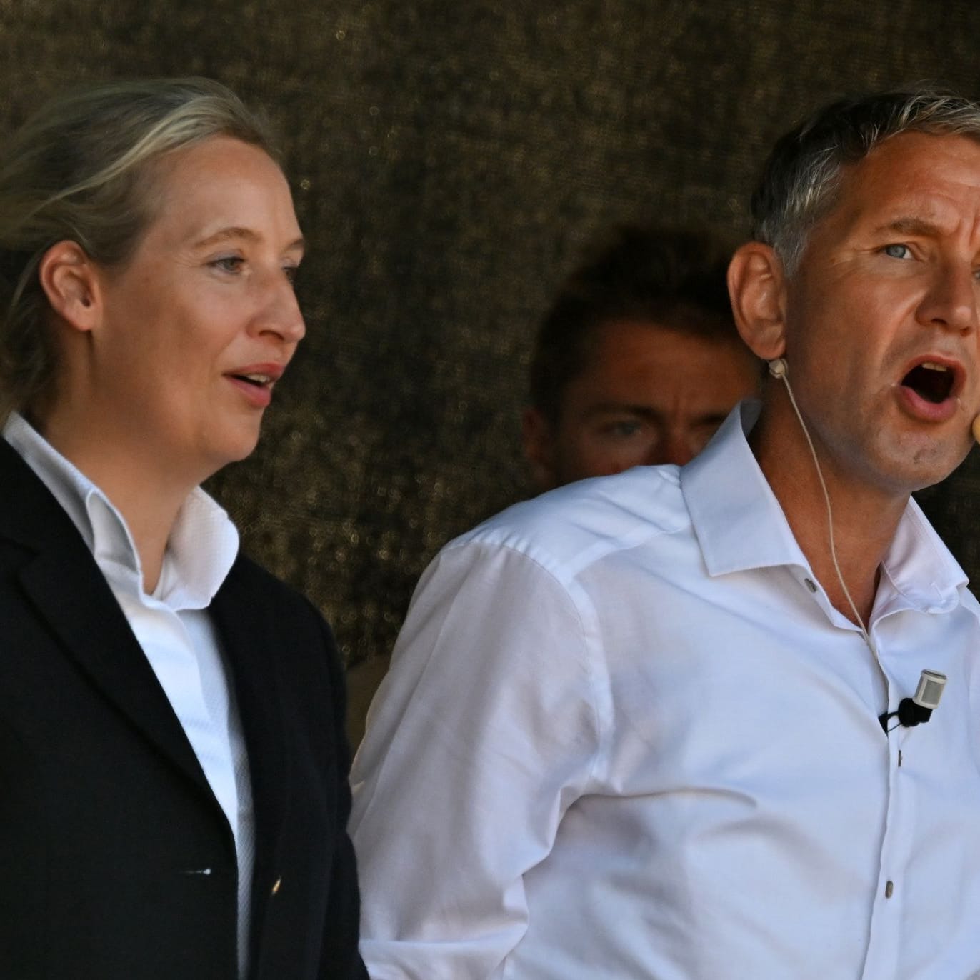 Alice Weidel und Björn Höcke