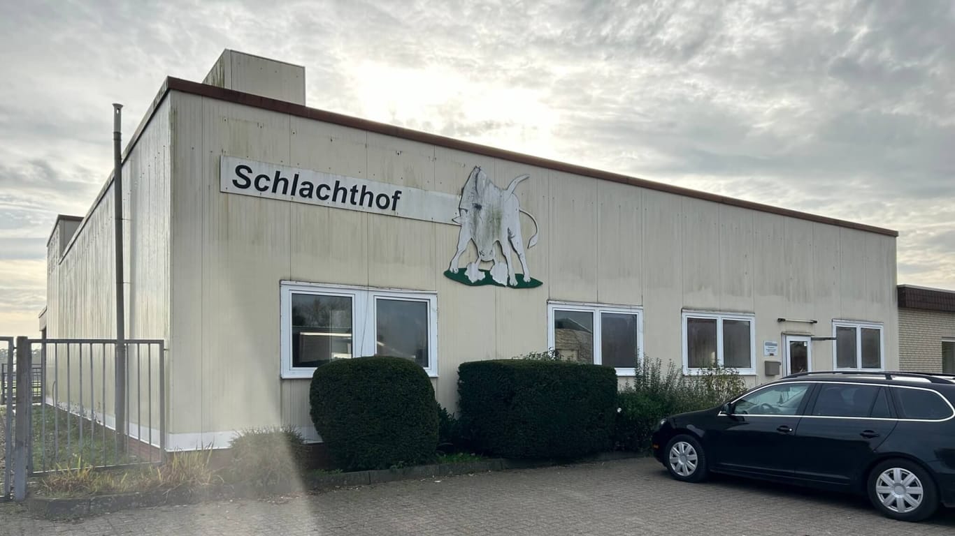 Gegen einen Schlachthof in Niedersachsen erhebt eine Tierrechtsorganisation schwere Vorwürfe. Das Veterinäramt reagiert.