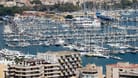 Blick über die Stadt Palma de Mallorca (Archivbild): Eine Frau starb hier in einem Müllcontainer.