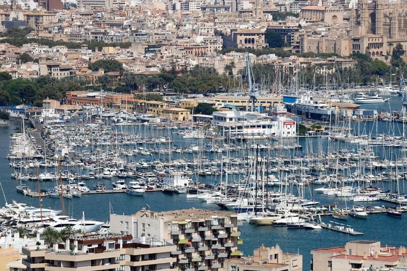 Blick über die Stadt Palma de Mallorca (Archivbild): Eine Frau starb hier in einem Müllcontainer.