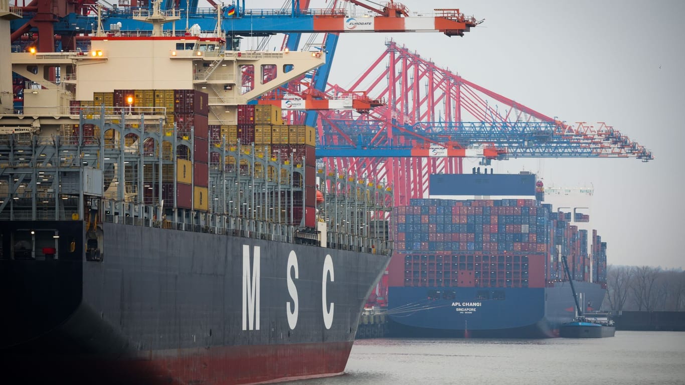 MSC-Containerschiff im Hamburger Hafen